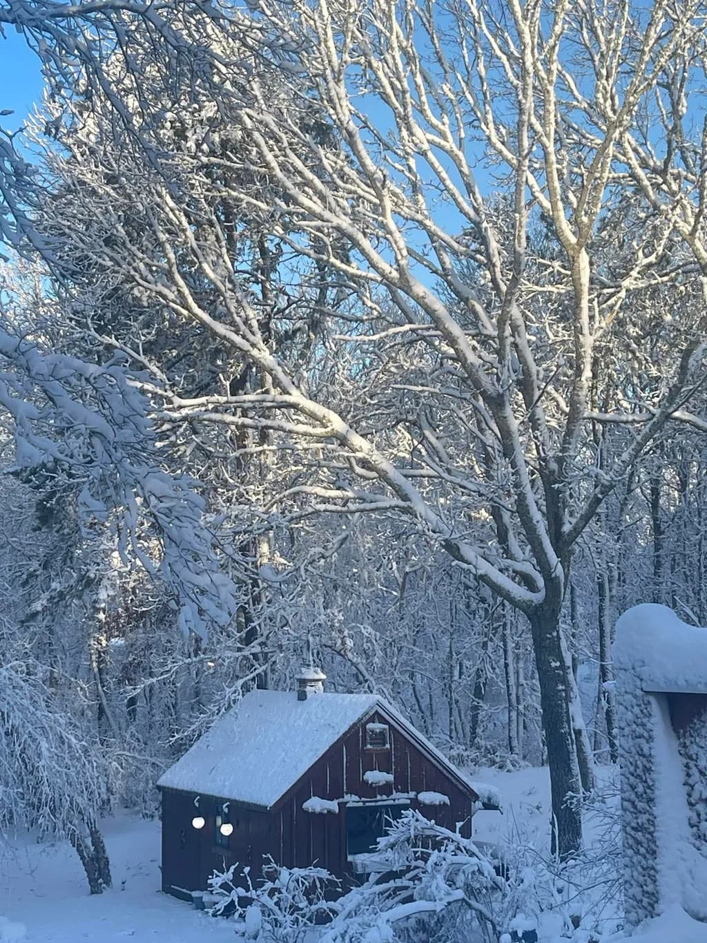 Winter Cabin Retreat