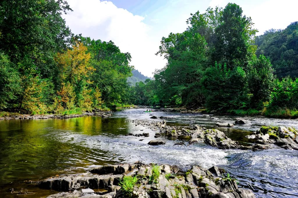Whispers of the River: A Serene Journey Through Nature's Embrace