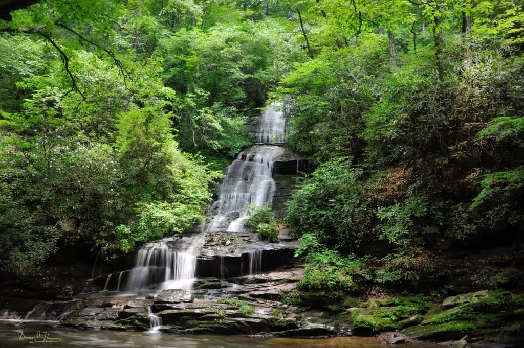 Whispers of the Forest: A Serene Waterfall Retreat in Lush Greenery
