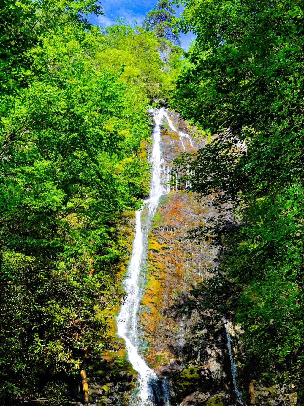 Whispers of the Waterfall: A Serene Cascade Amidst Lush Greenery