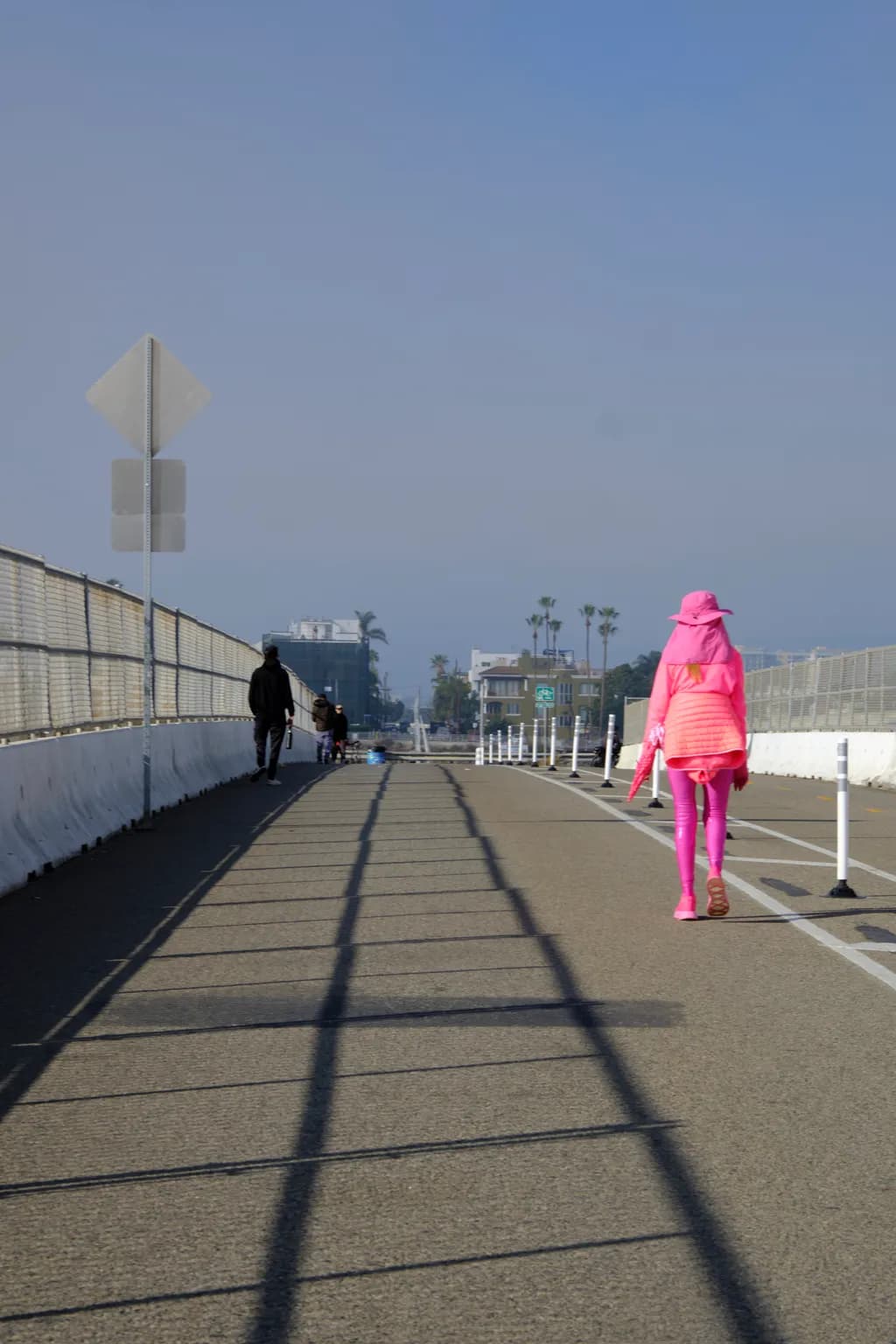 Pink Lady on Patrol