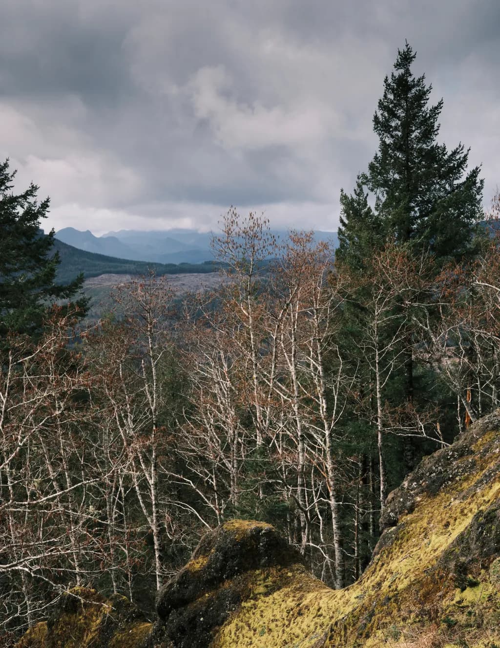 Distance View