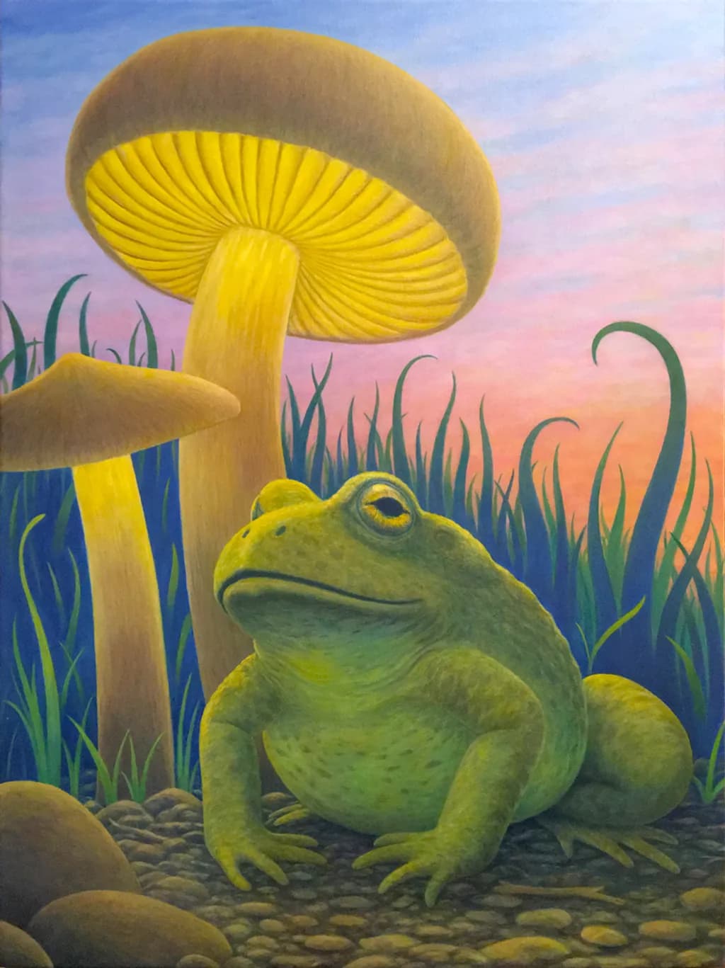 Magic Toad