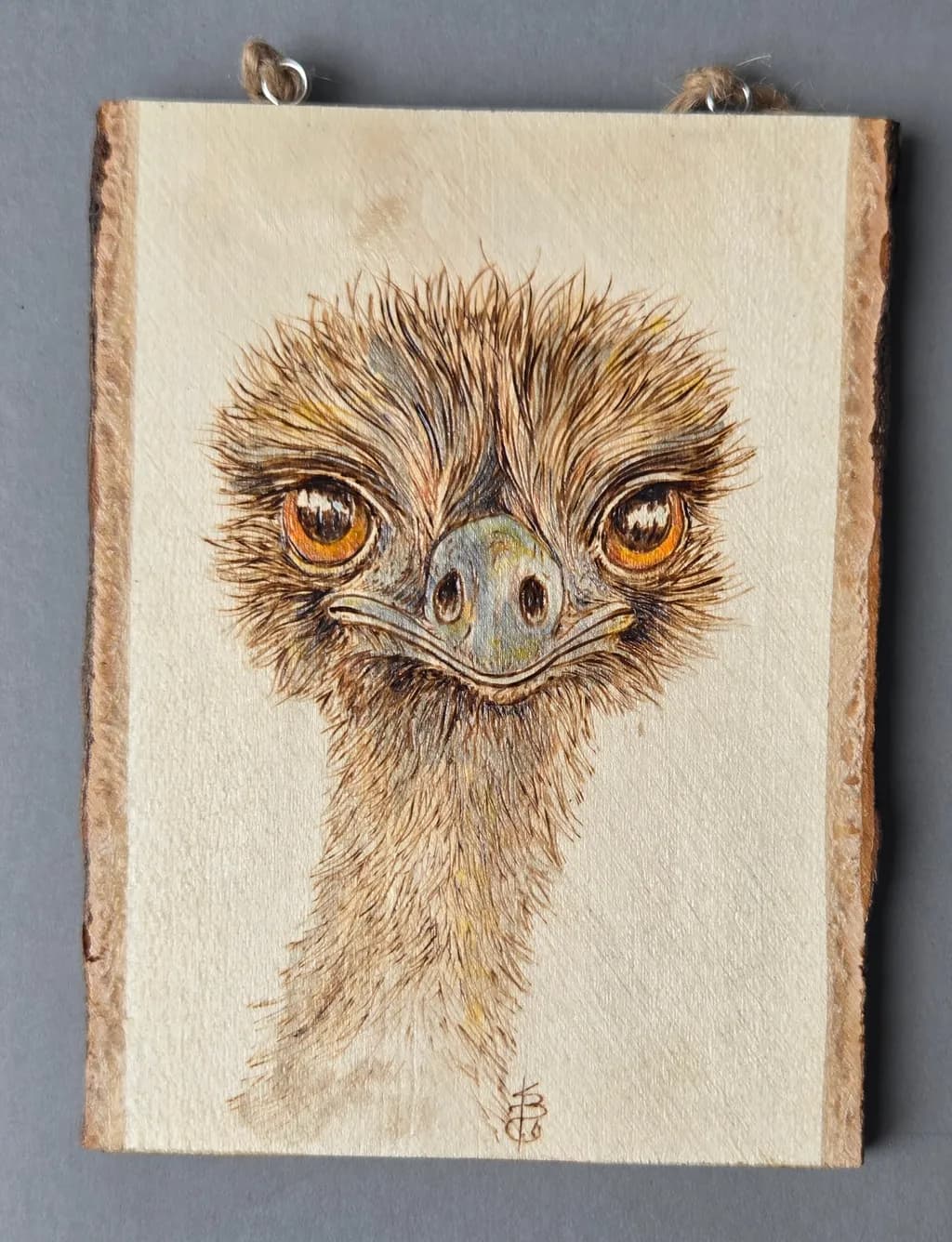 Curious Gaze
