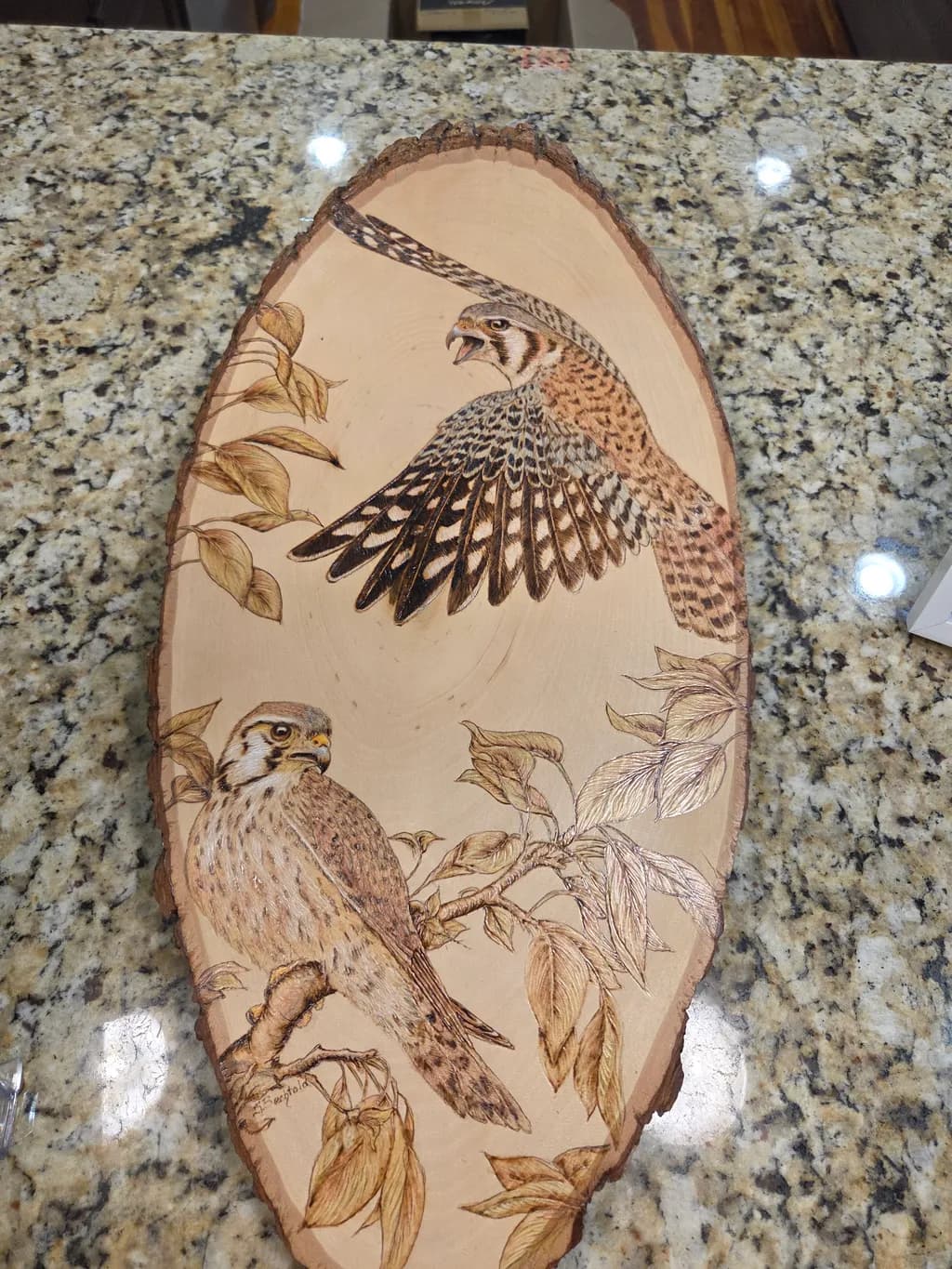 Kestrel Dance