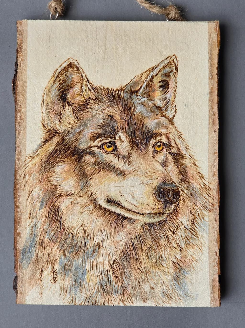 Wolf's Gaze