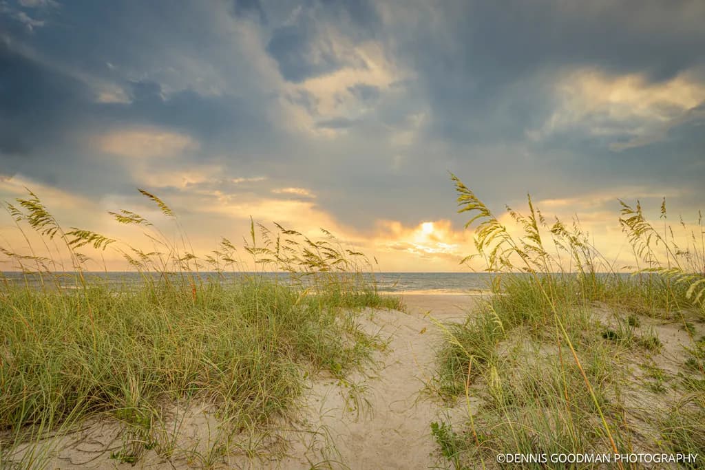 Serenity at Sunset: A Tranquil Beach Landscape Embraced by Gentle Grass and Clouds