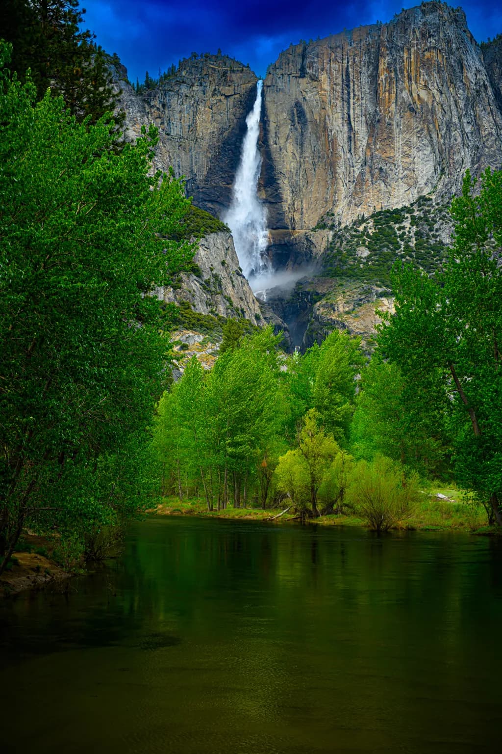Whispers of the Waterfall: A Serene Forest Escape