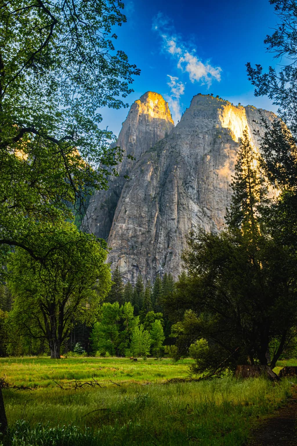 Whispers of the Forest: A Majestic Mountain Landscape at Dawn