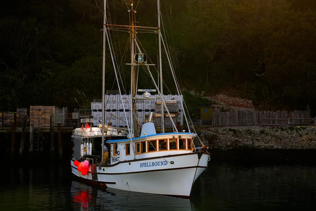 "Spellbound Serenity: A Tranquil Evening at the Harbor"