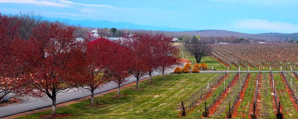 Barbourville Bliss