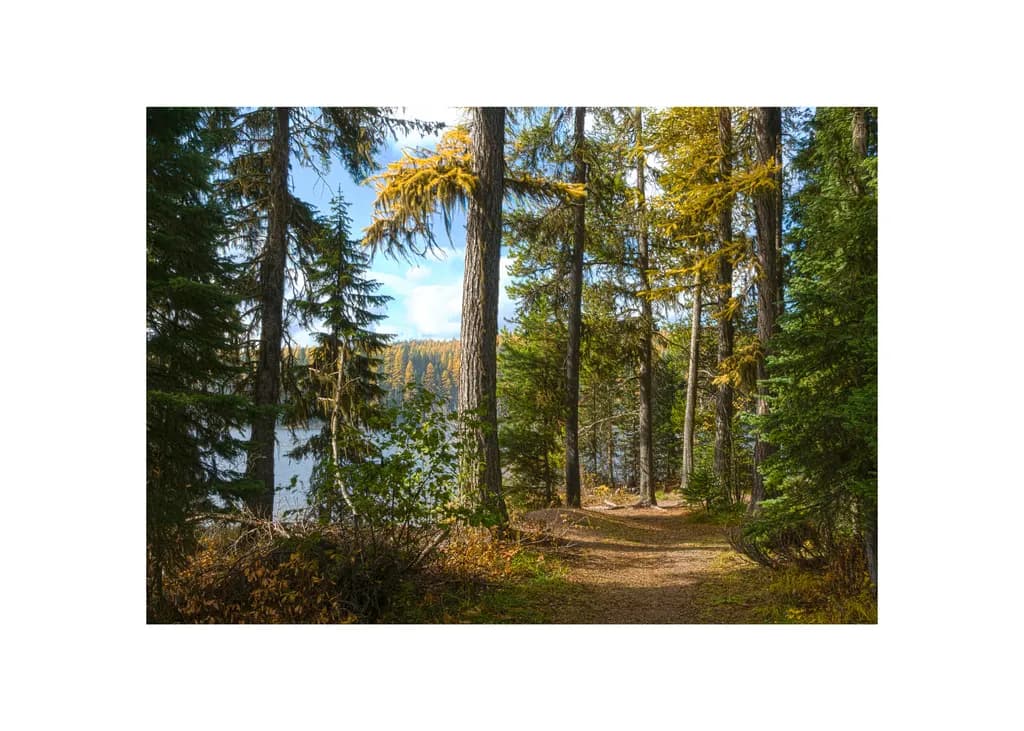 Fall Trail at Seeley Lake