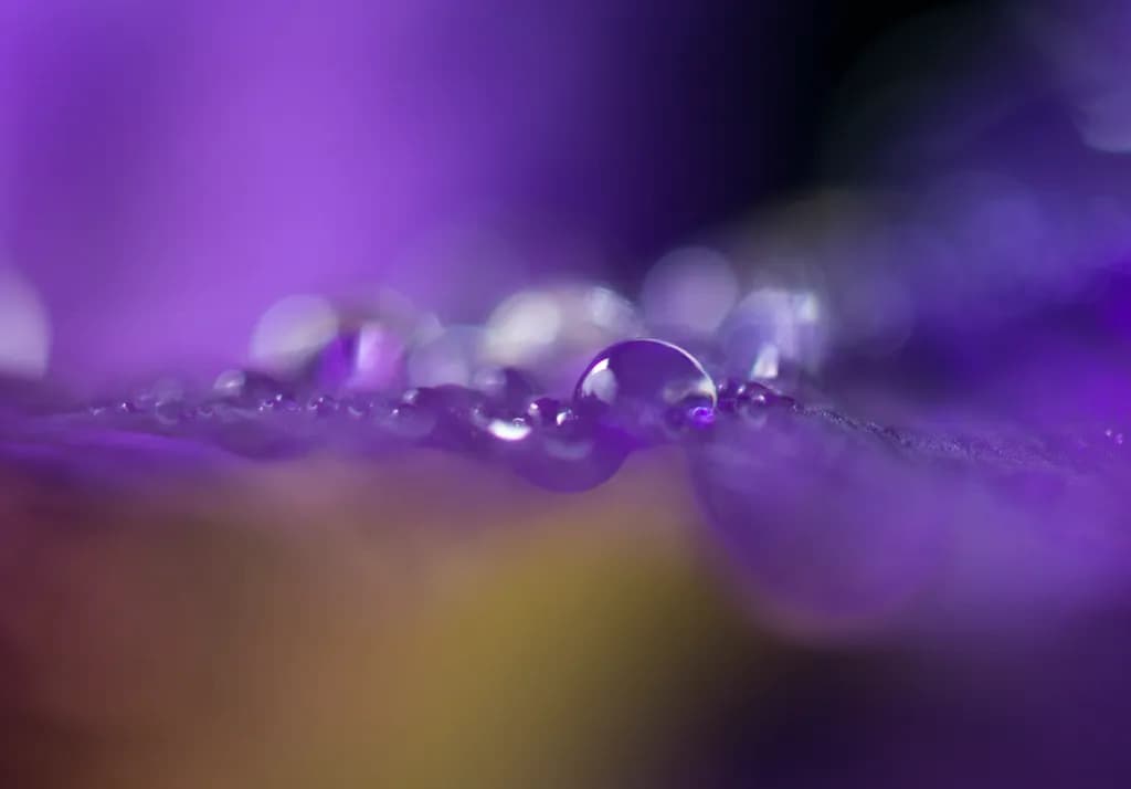 Raindrops on the Edge