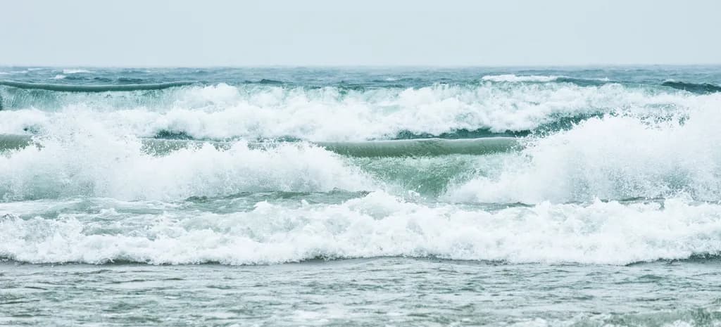 Waves 1178