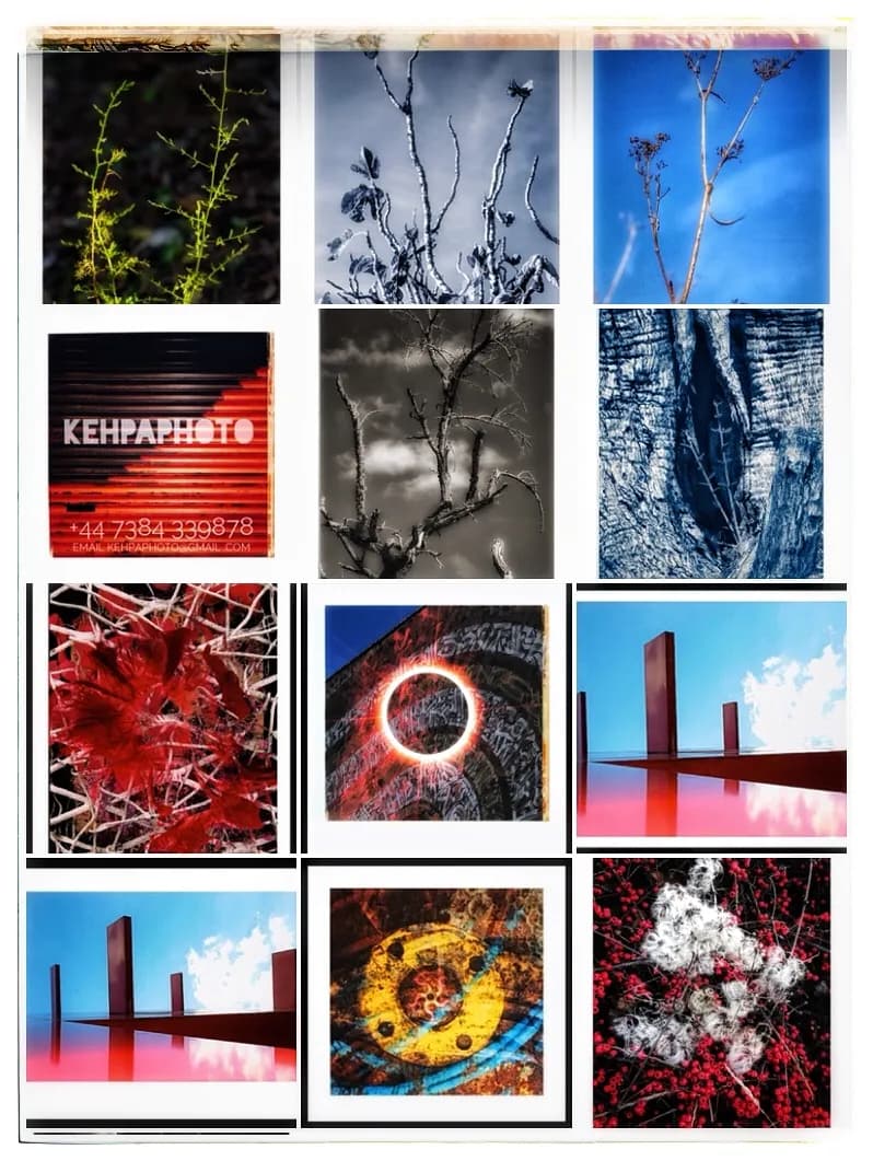 Whispers of Nature: A Journey Through Textures and Colors in Urban Landscapes