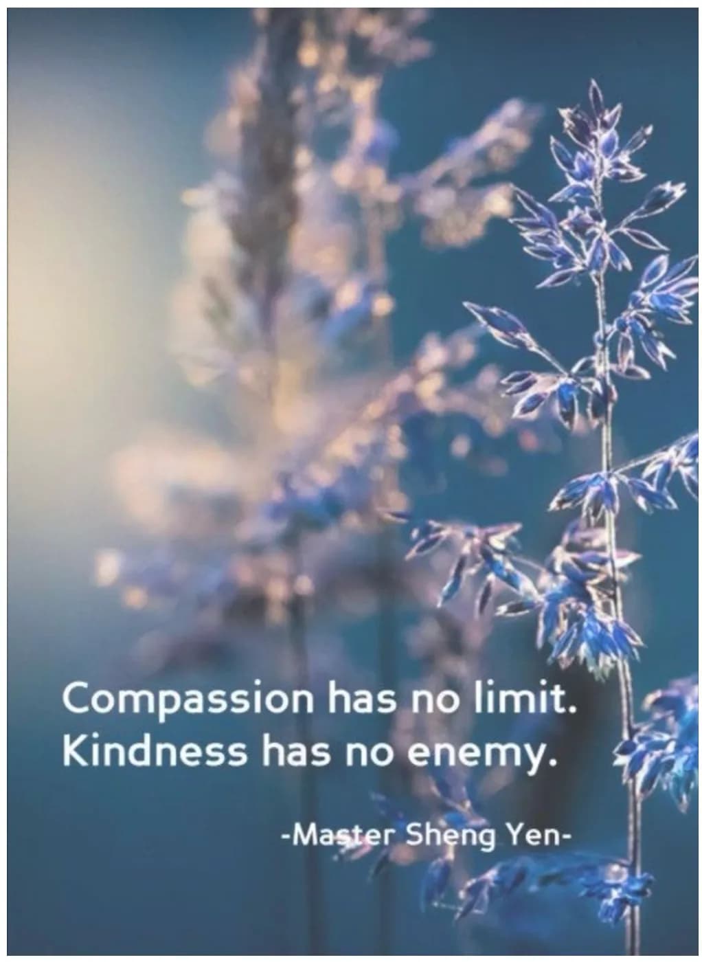 Whispers of Kindness: A Gentle Reminder of Compassion