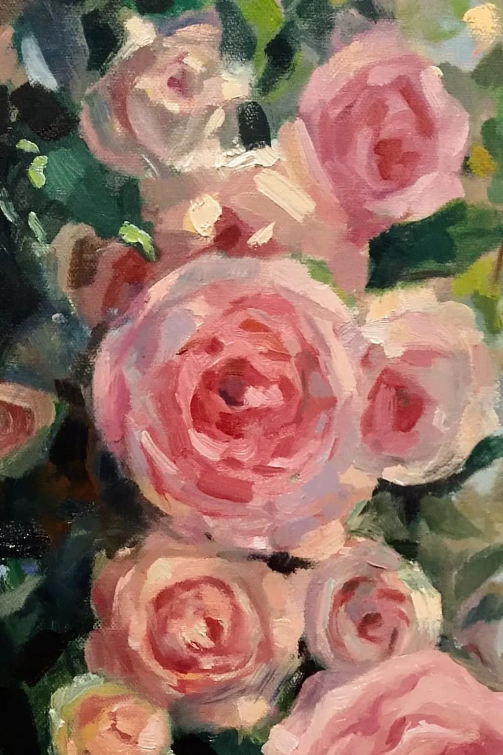 Pink Roses Bloom