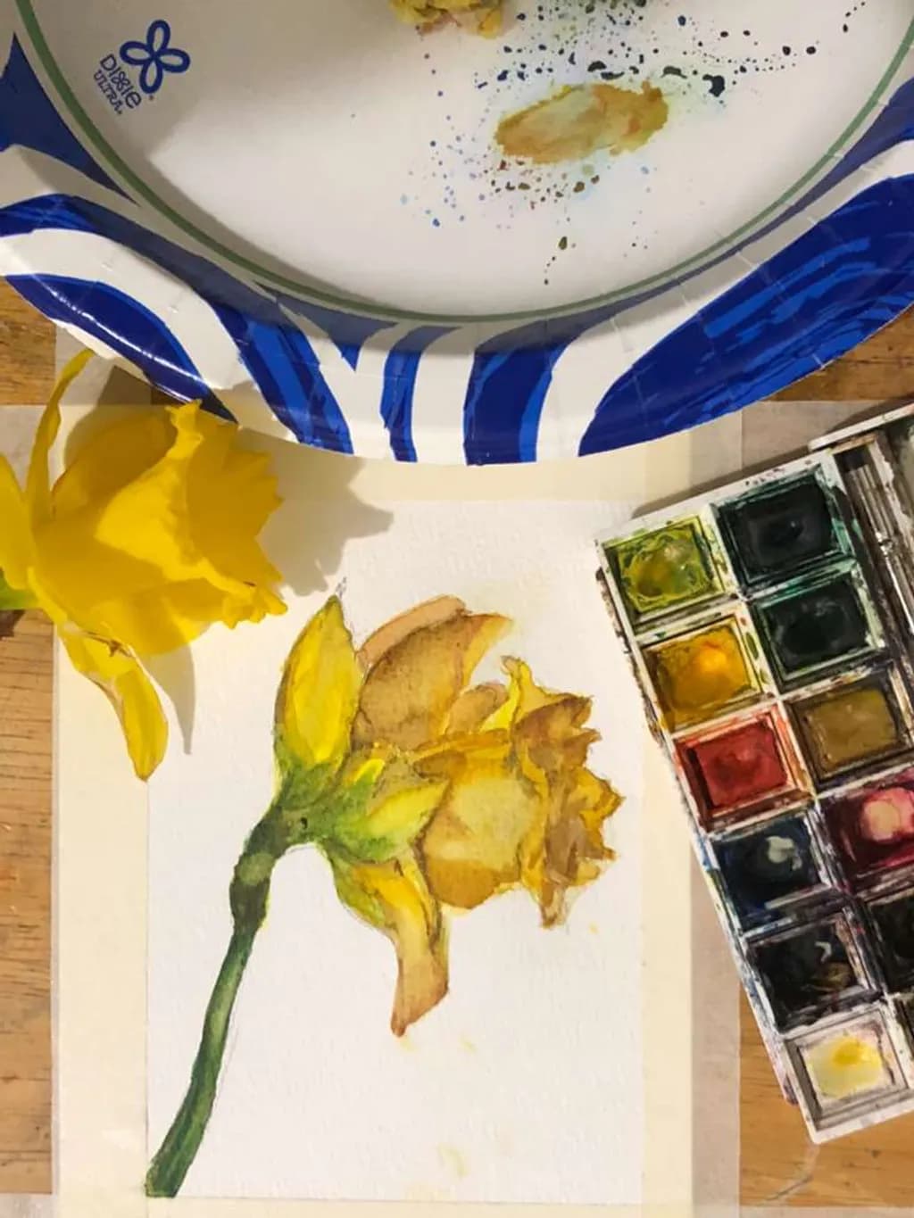 Wilted Daffodil