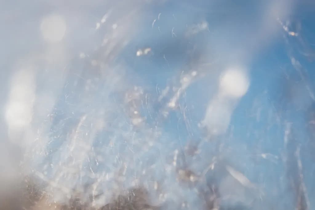 Delicate Lightplay