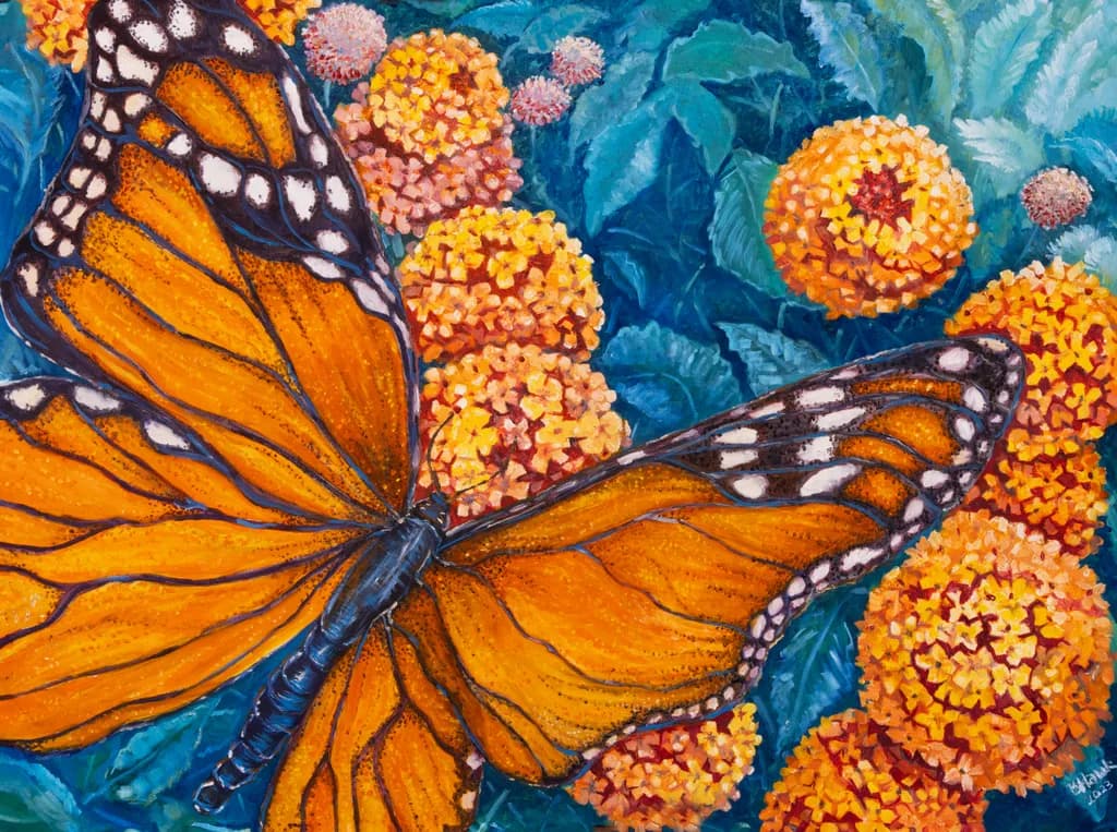 Monarch on Lantana