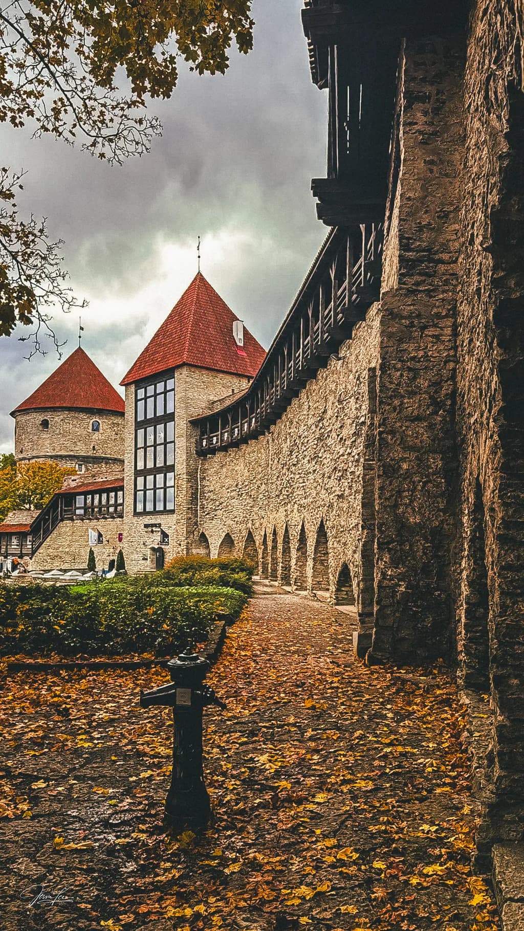 Whispers of History: A Stroll Through the Enchanted Castle Walls
