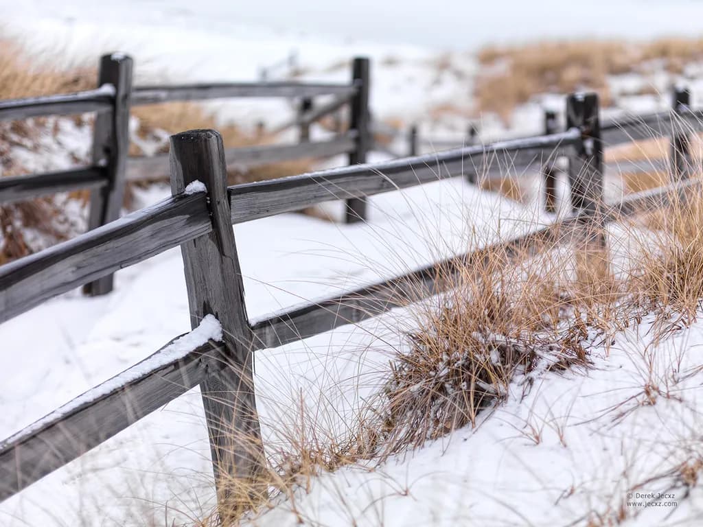 Winter Shore Fence