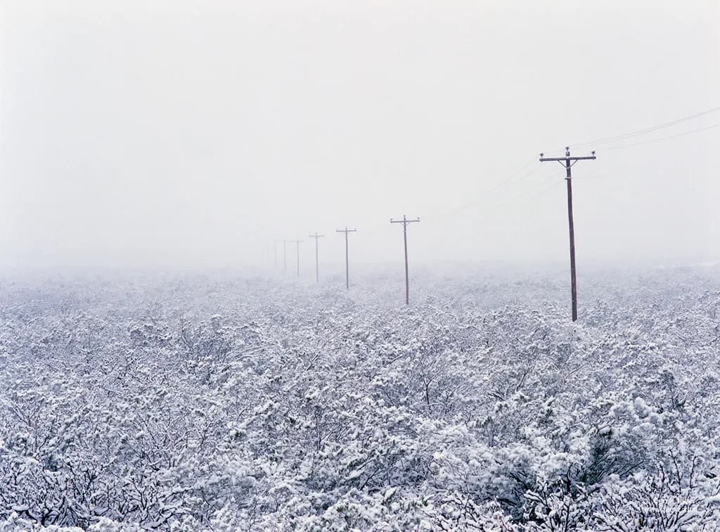 Into the White