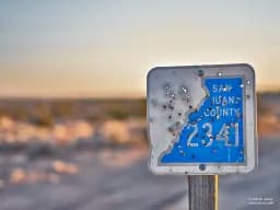 Shotgun Sign