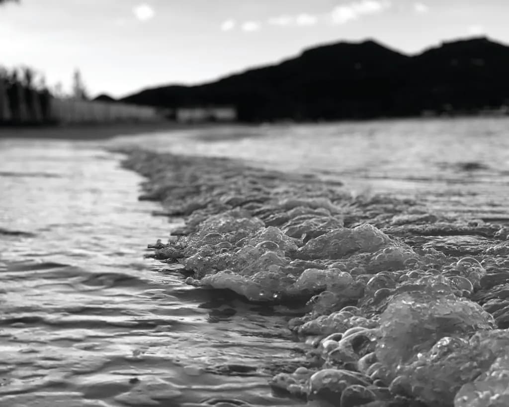 Whispers of the Tide: A Serene Black and White Seascape