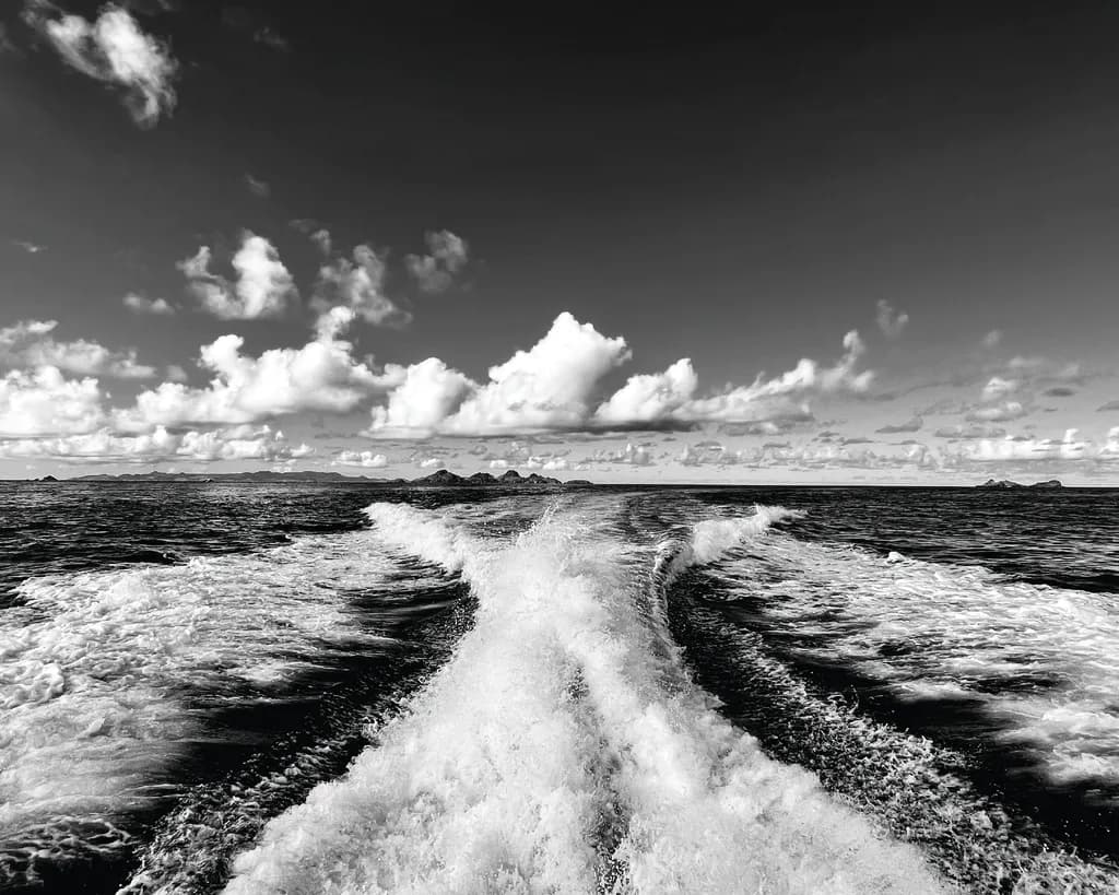 Ethereal Waves: A Black and White Journey Through Oceanic Serenity