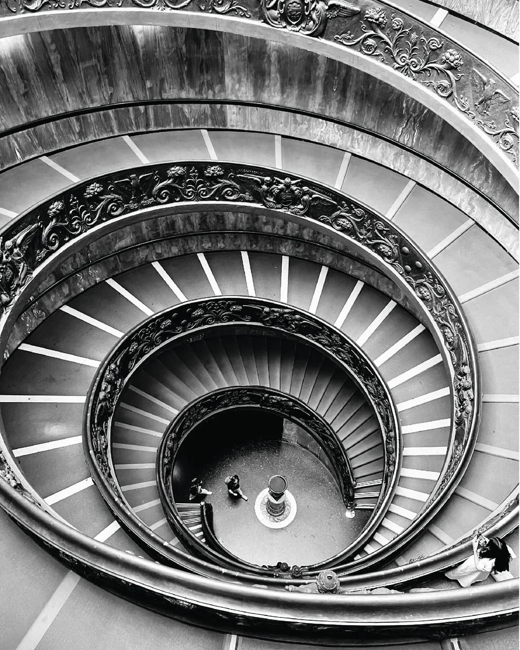 Spiral Symphony: A Journey Through Architectural Elegance