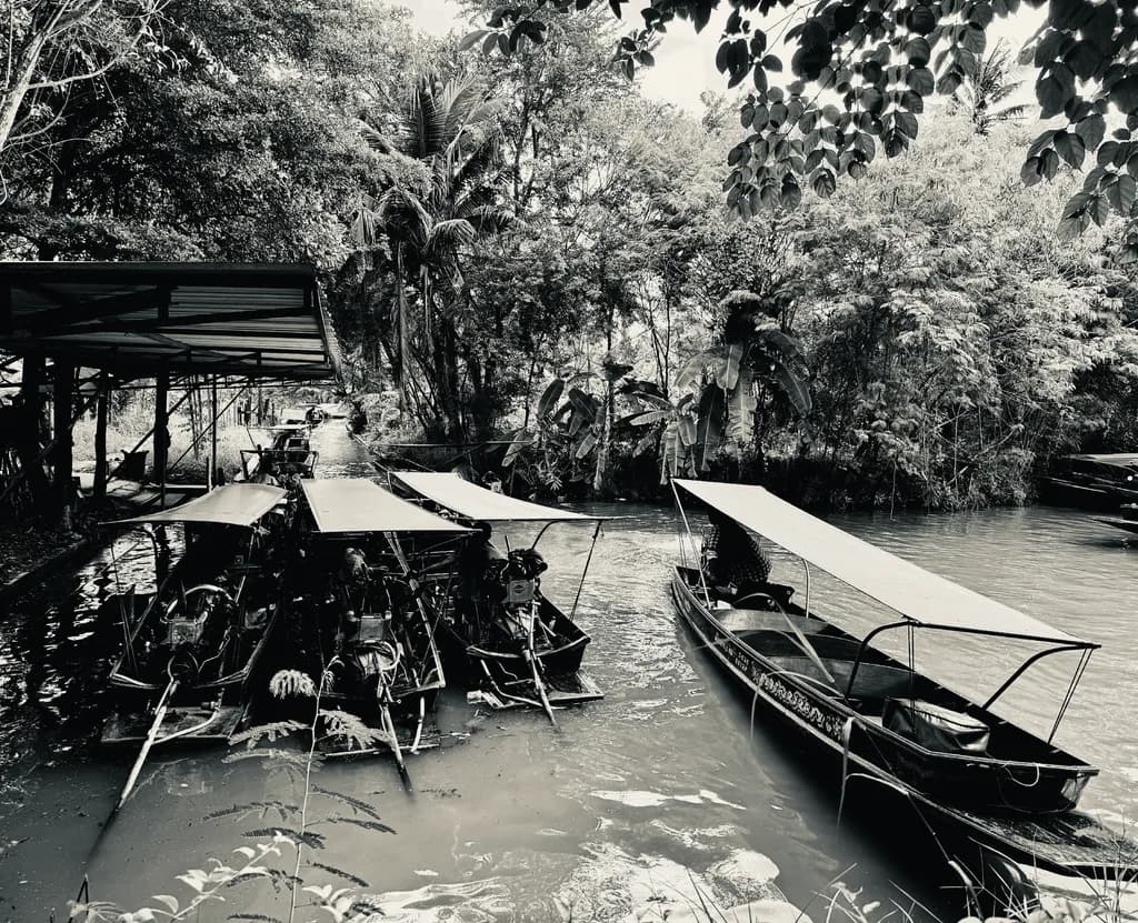 Serenity on the Water: A Black and White Journey Through Nature's Embrace