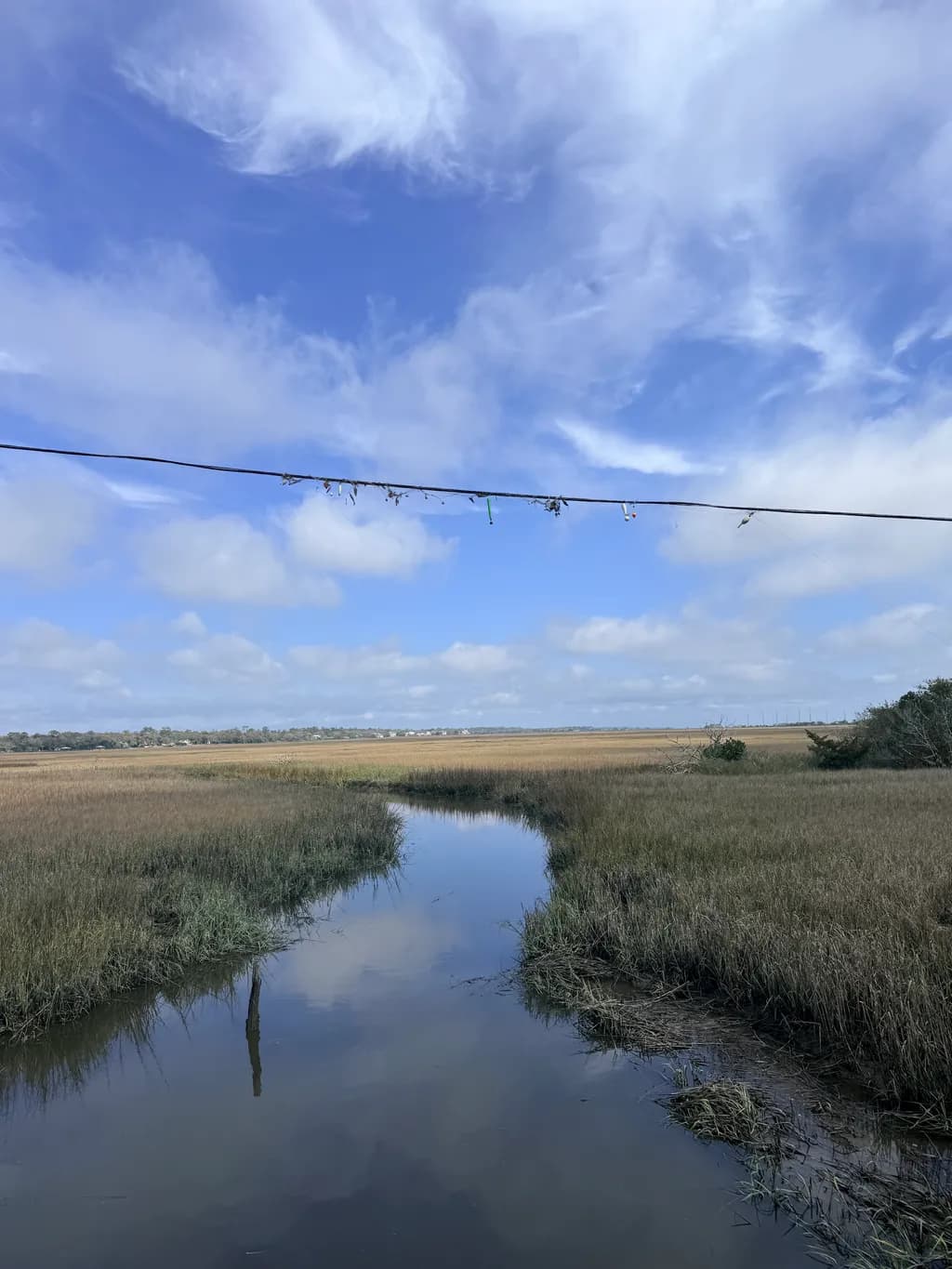 Tidegrass Reflections
