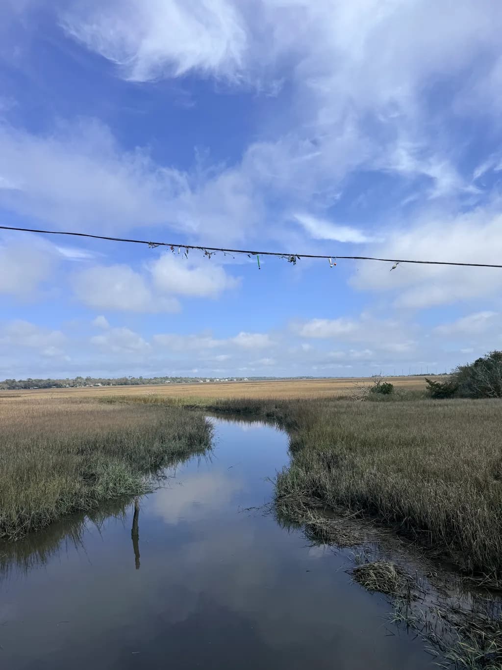 Marshline Reflection