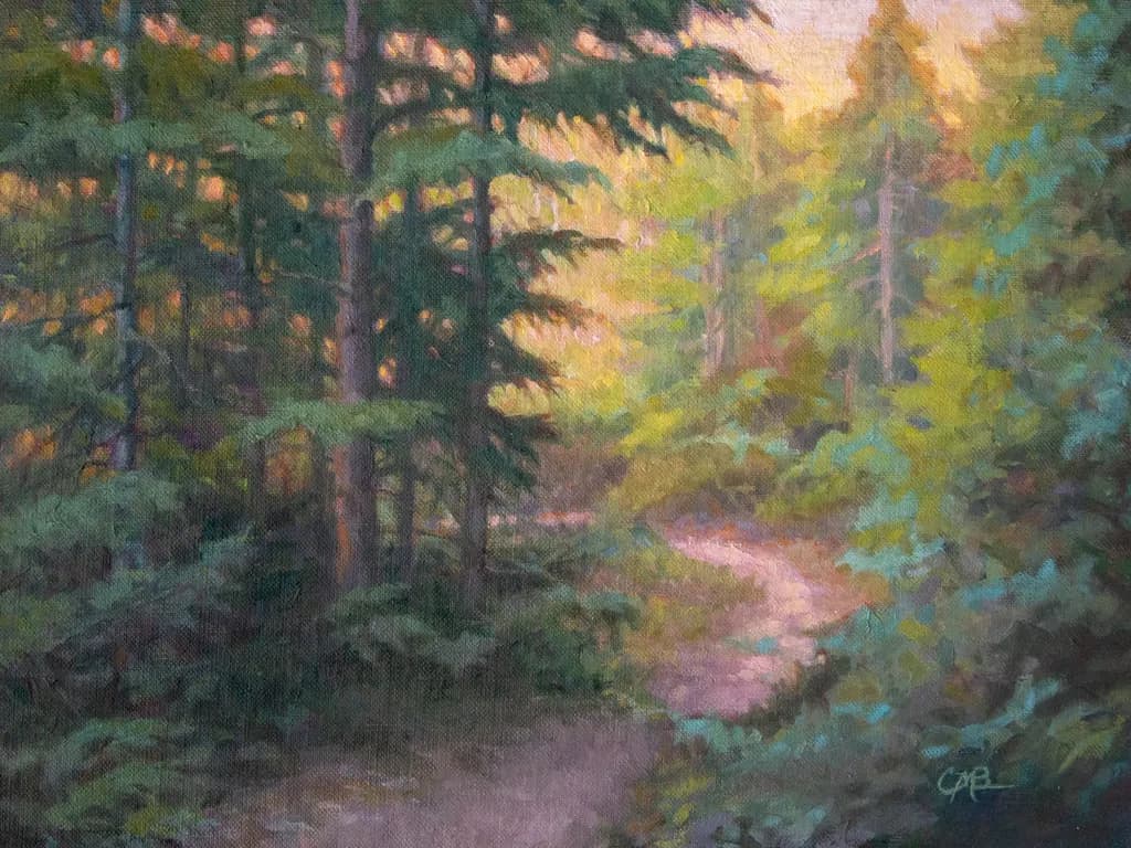 Whispers of the Forest Path: A Serene Journey Through Nature's Embrace
