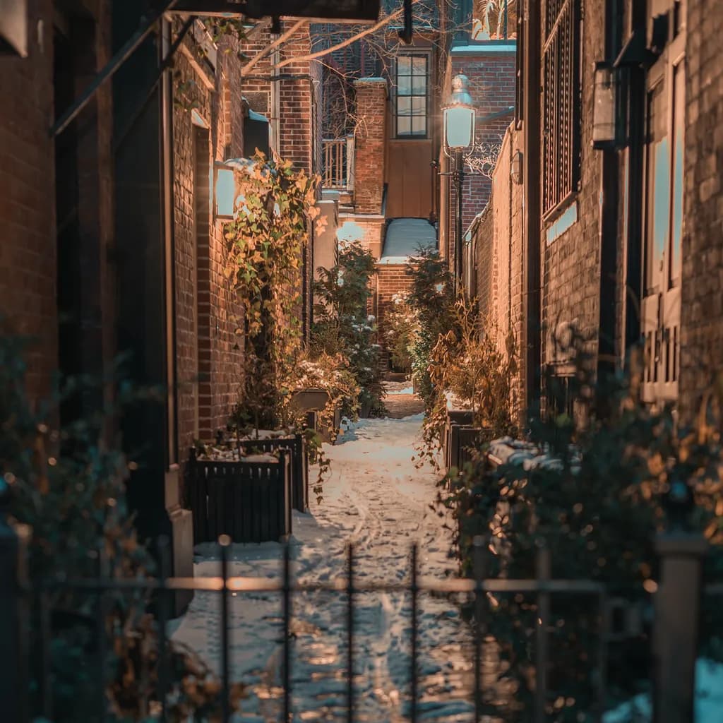 Beacon Hill Alleyway
