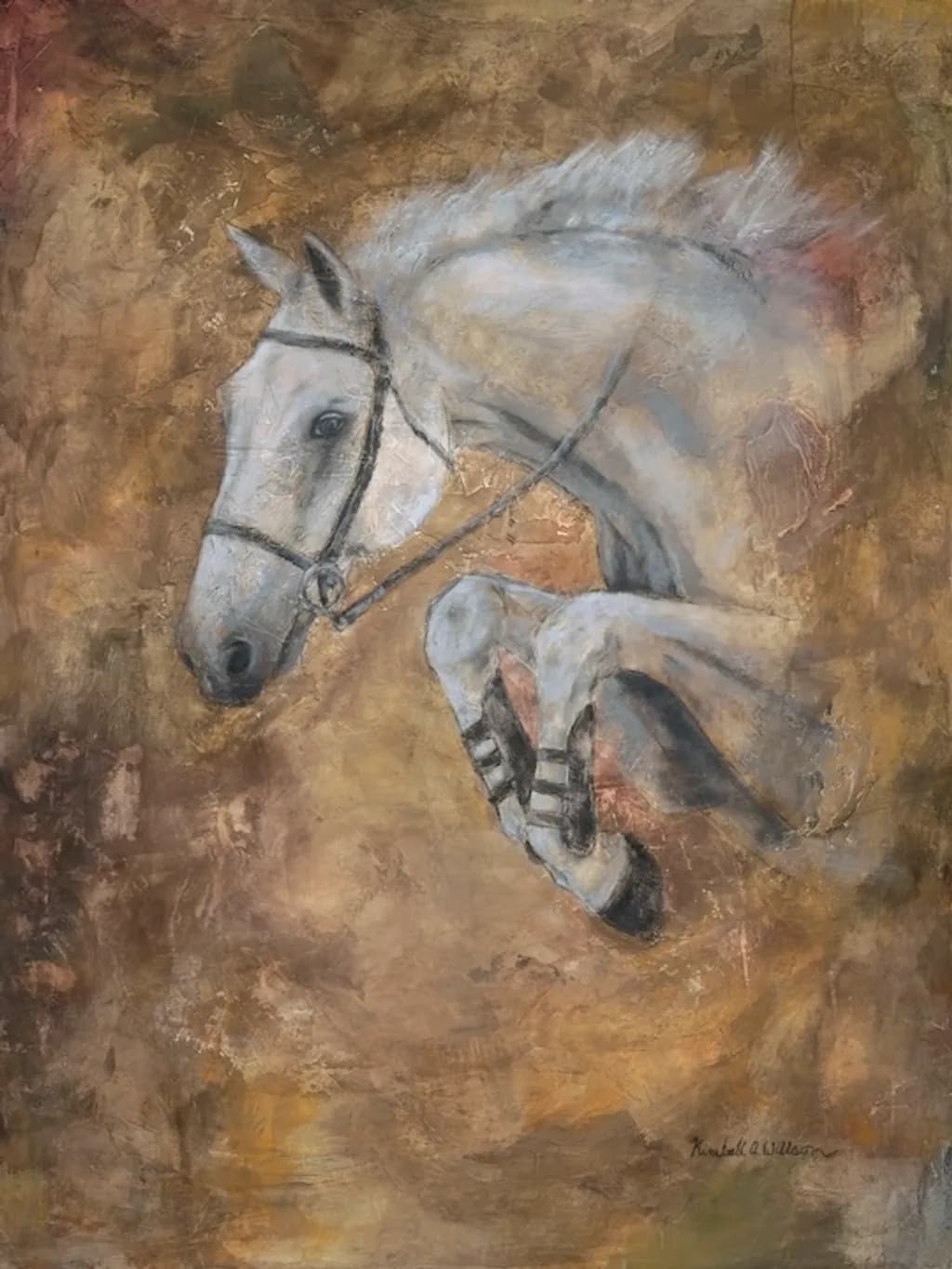 Over the Oxer