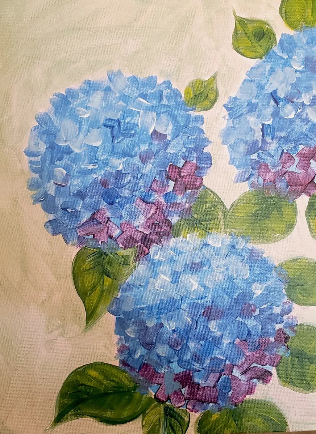 Hydrangea Elegance