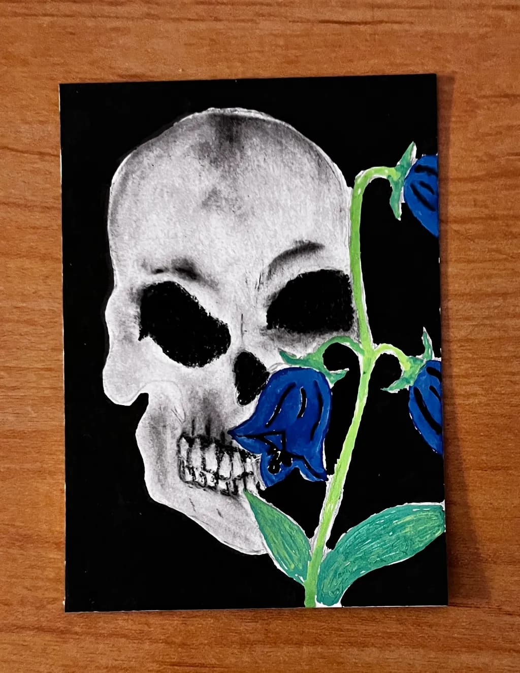 Midnight Bloom Skull