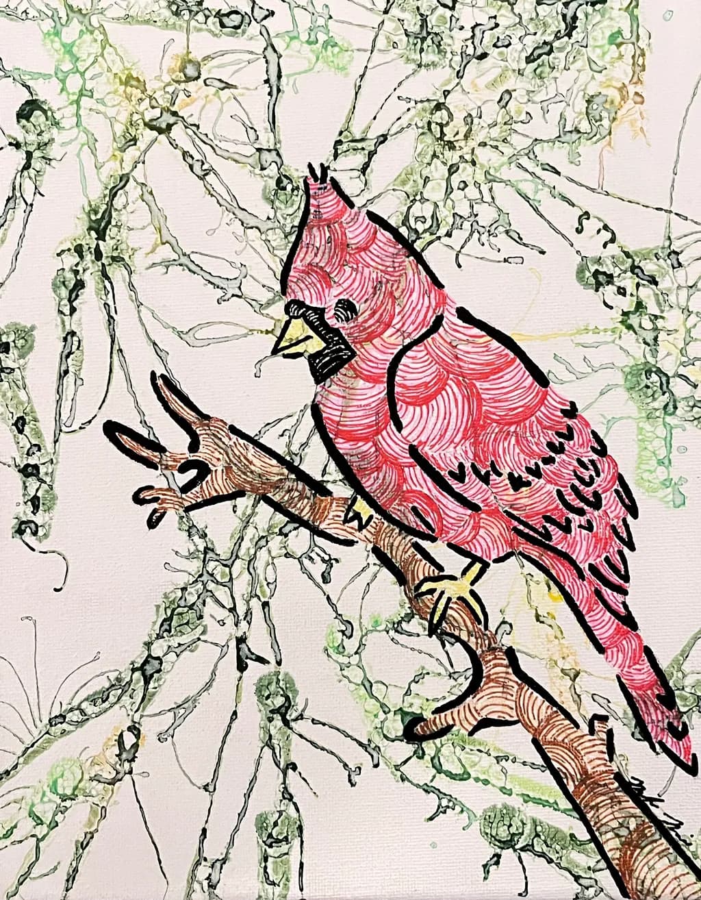 Cardinal Contours