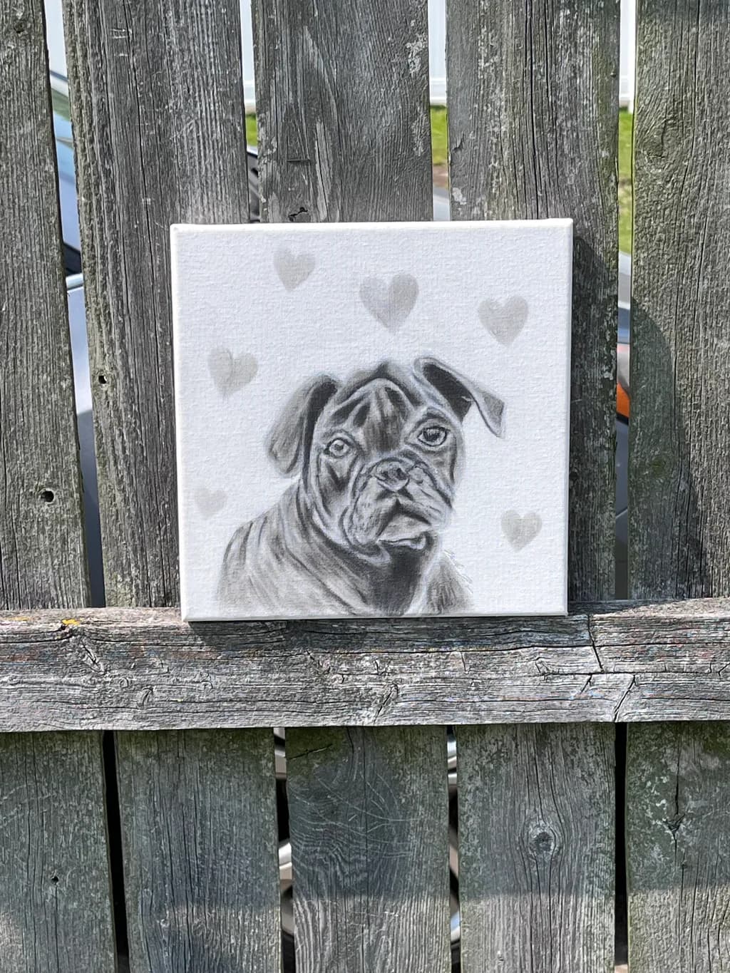 Pug Love: A Heartfelt Portrait of Canine Charm