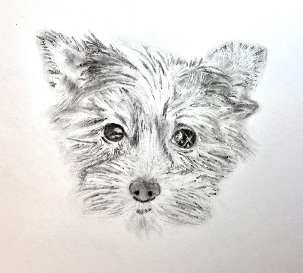 Whiskered Whimsy: A Charming Portrait of a Playful Pup