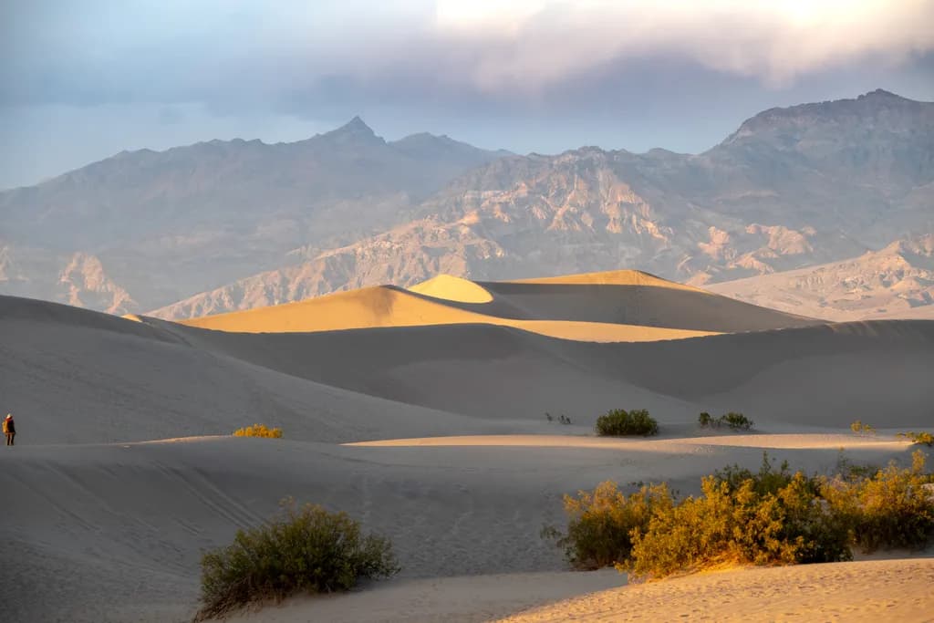 Sunlit Dunes Laughing
