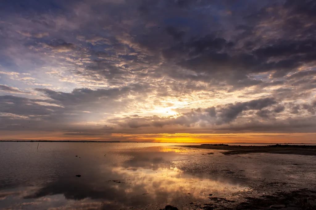 Carmargue Sunrise Chill