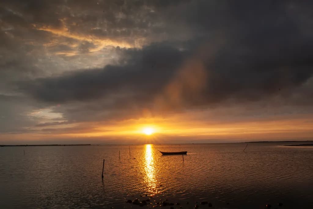 Carmargue Sunrise