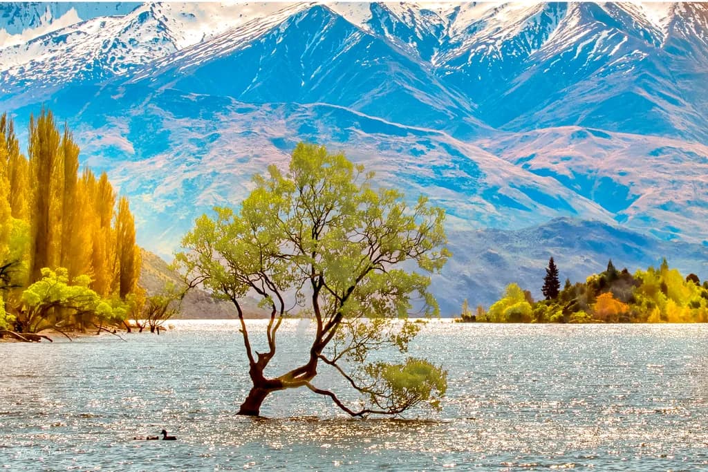 Lake Loneleaf