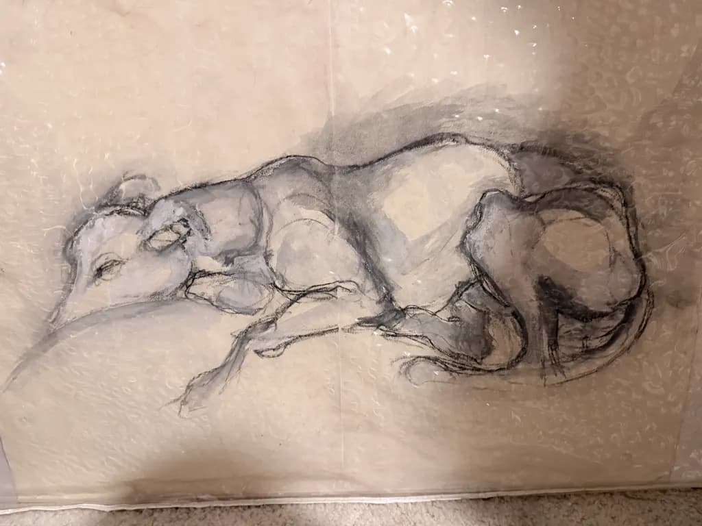 Resting Hound