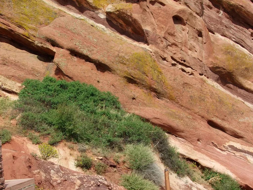 Whispers of Earth: A Rocky Embrace of Greenery and Texture in Nature's Landscape