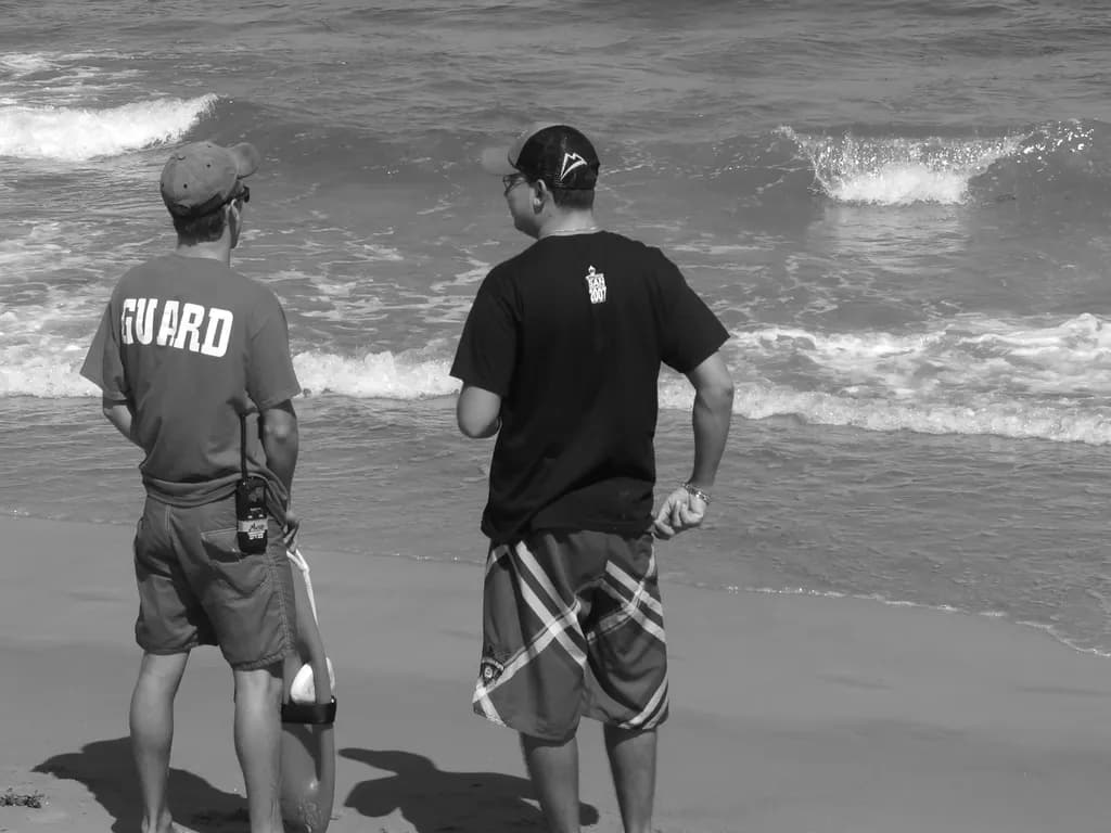 Guardians of the Shore: A Moment of Reflection by the Waves