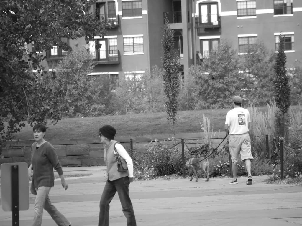 Urban Serenity: A Monochrome Stroll Through the Park with Companions